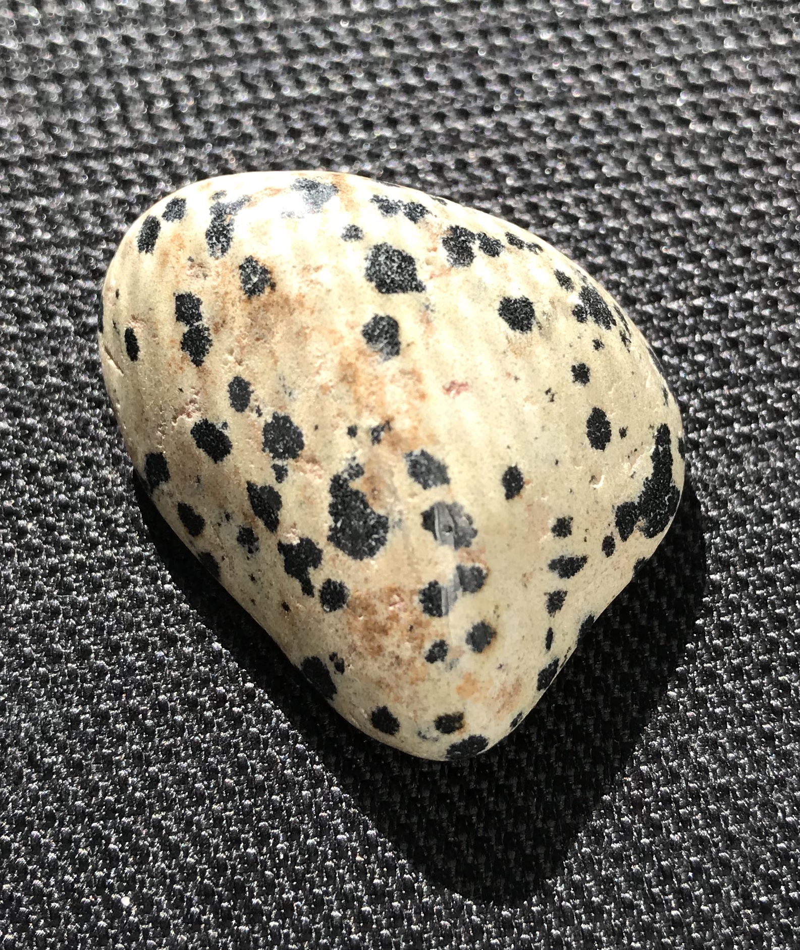 dalmation stone - beige with black spots