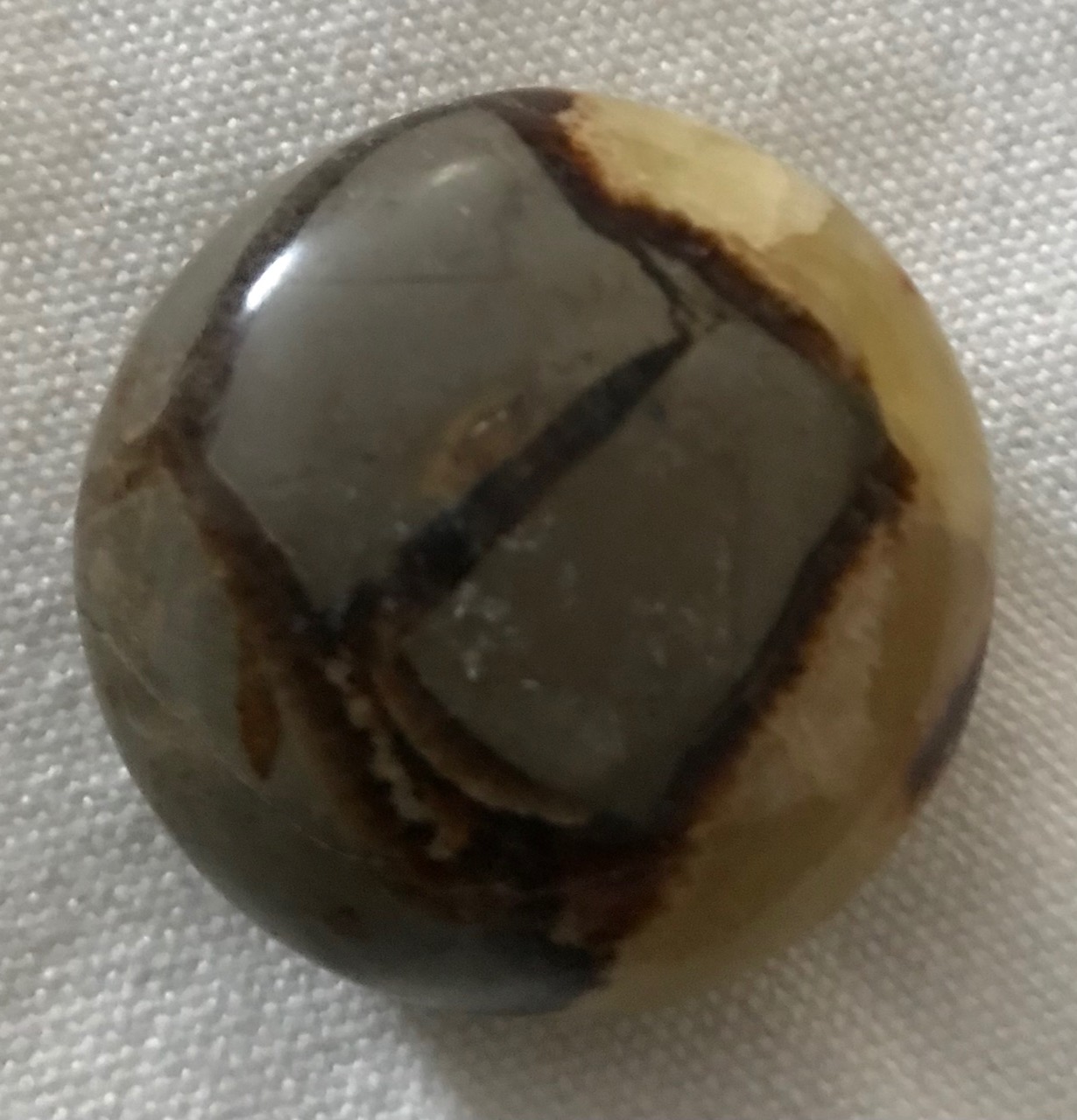 Calcite/Limestone/Aragonite - Septaria